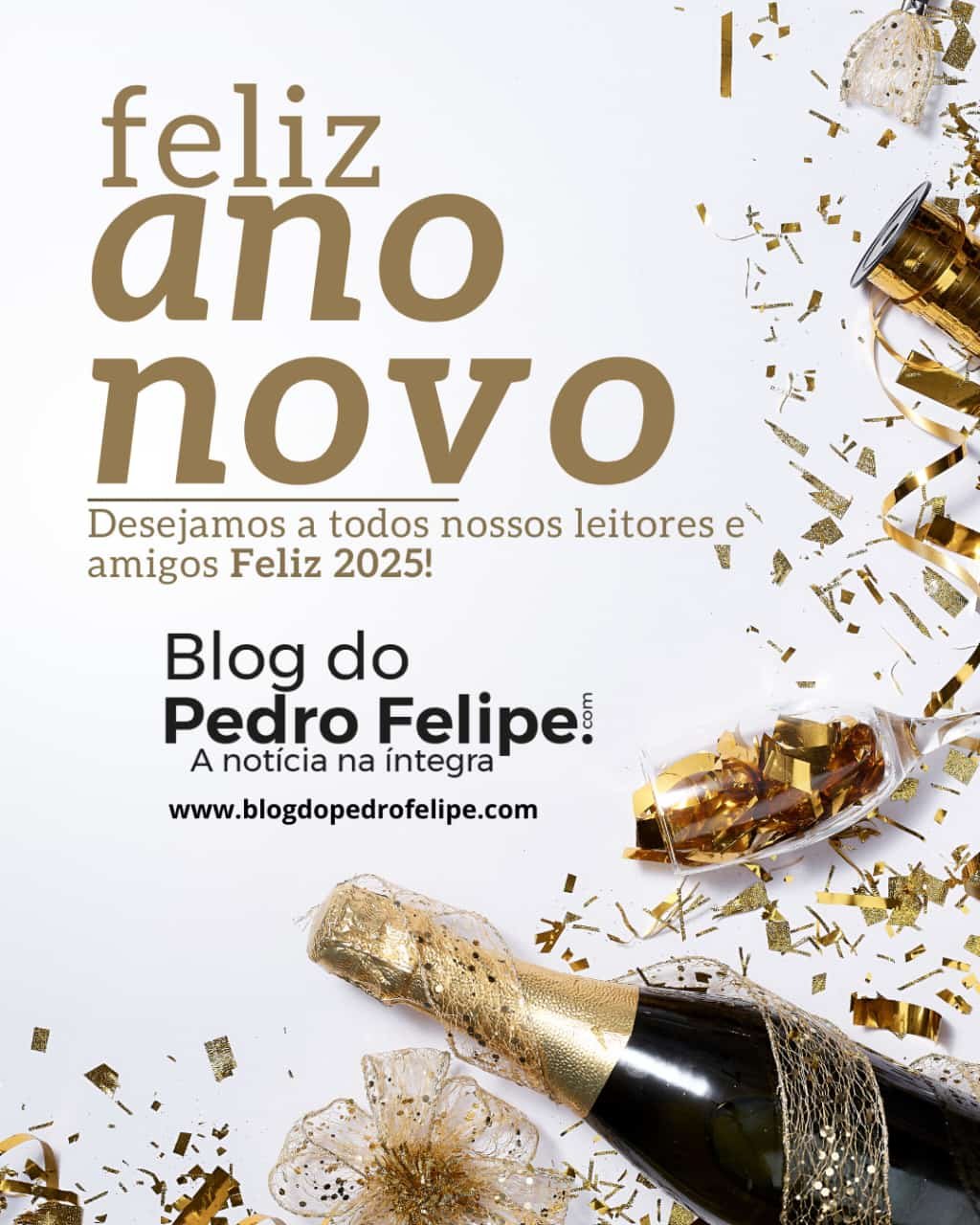 Imagem do WhatsApp de 2024-12-31 à(s) 17.41.51_08343873