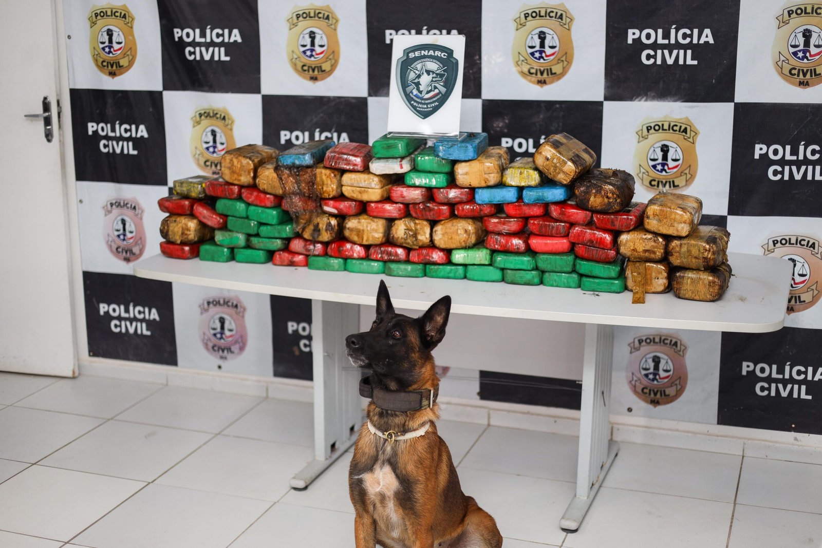 Polícia_Civil_apreendeu_cerca_de_uma_tonelada_de_entorpecentes_em_2024_Foto_Divulgação_SSP_005