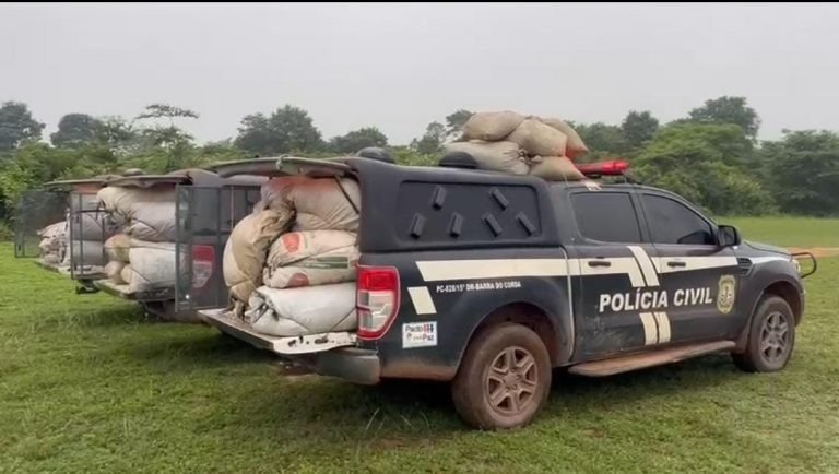 Polícia Civil apreende drogas em Grajau