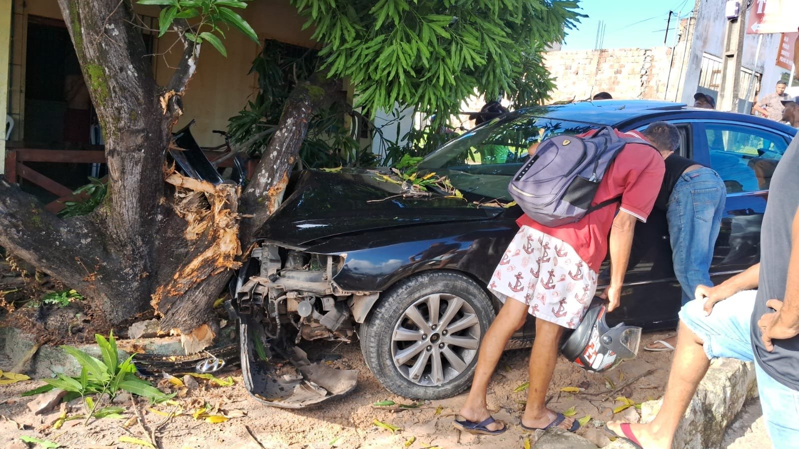 CARRO ATROPELAMENTO RAPOSA