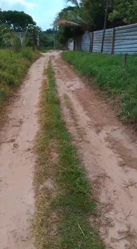 Captura de tela 2026-08-01 113634